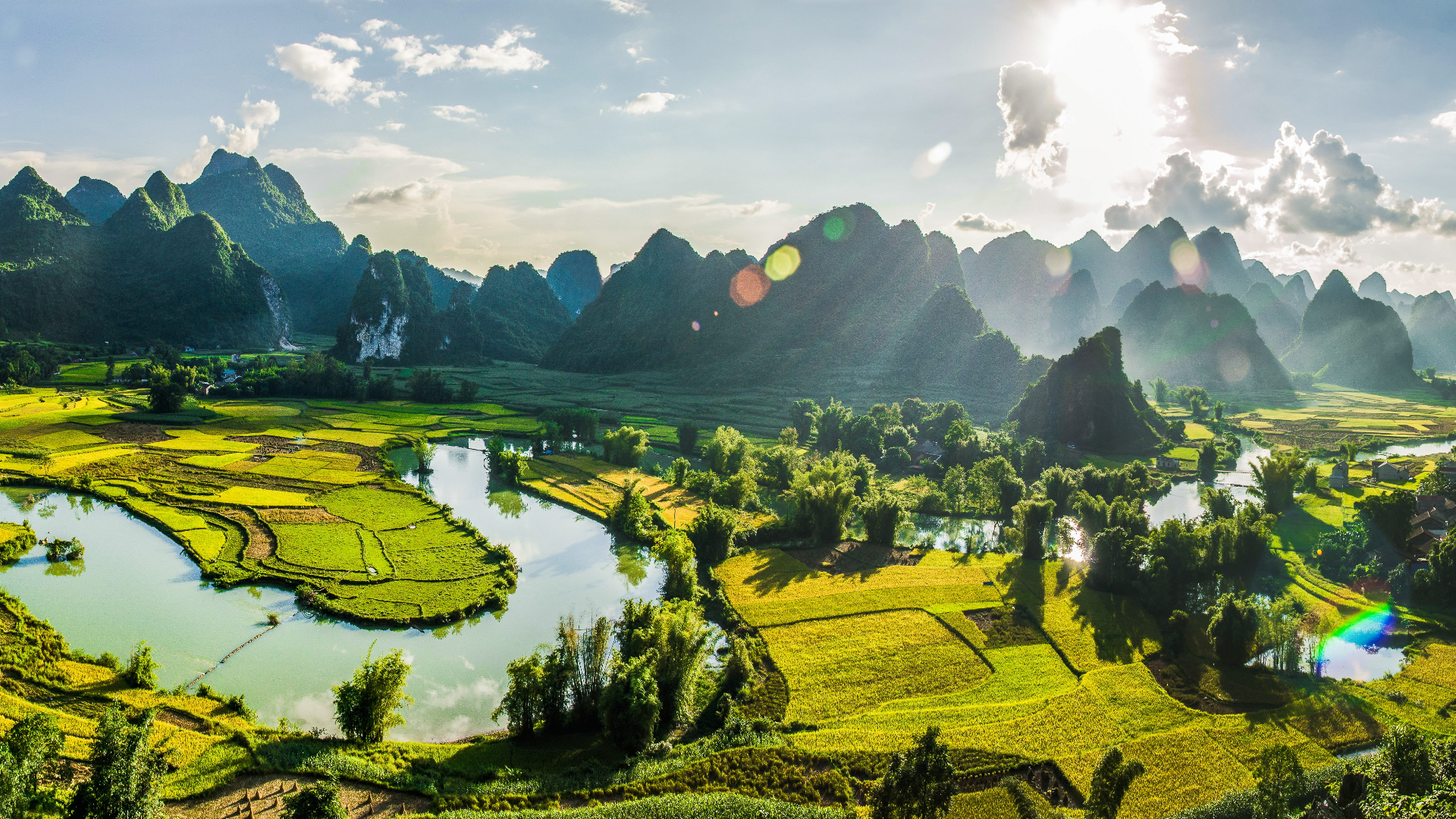 Vietnam Rice Fields